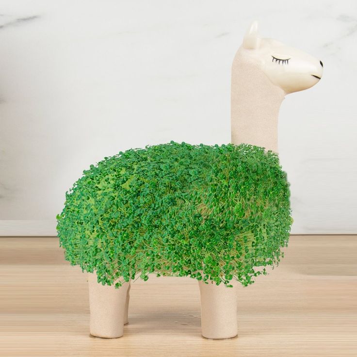 Top 5 cadeaus voor plantenliefhebbers
