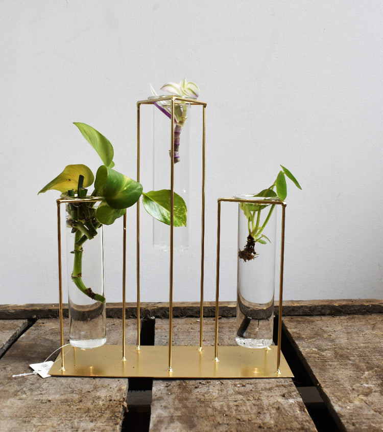 De Ideale Cadeau's Voor Plantenliefhebbers