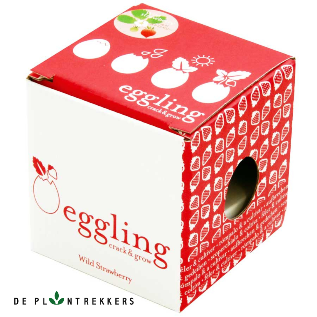 Eggling Wild Strawberry - grow your own strawberries
