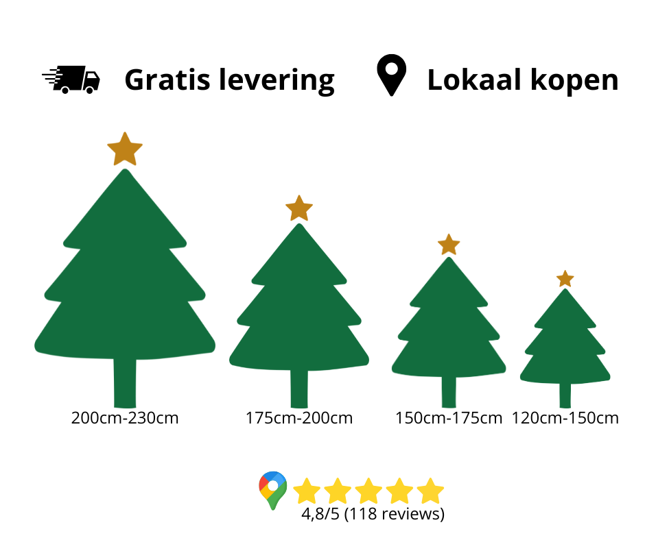 Kerstboom met gratis levering (Abies Nordmanniana)