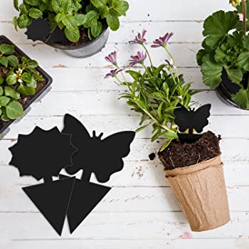 12 Bandes collantes contre les mouches fongiques