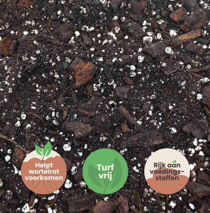 Turfvrije potgrondmix voor anthuriums