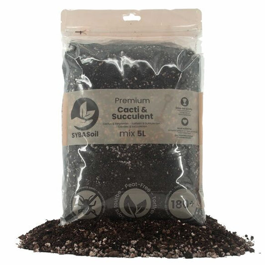 Cactussen & Vetplanten mix 5L - De Plantrekkers  - De Plantrekkers