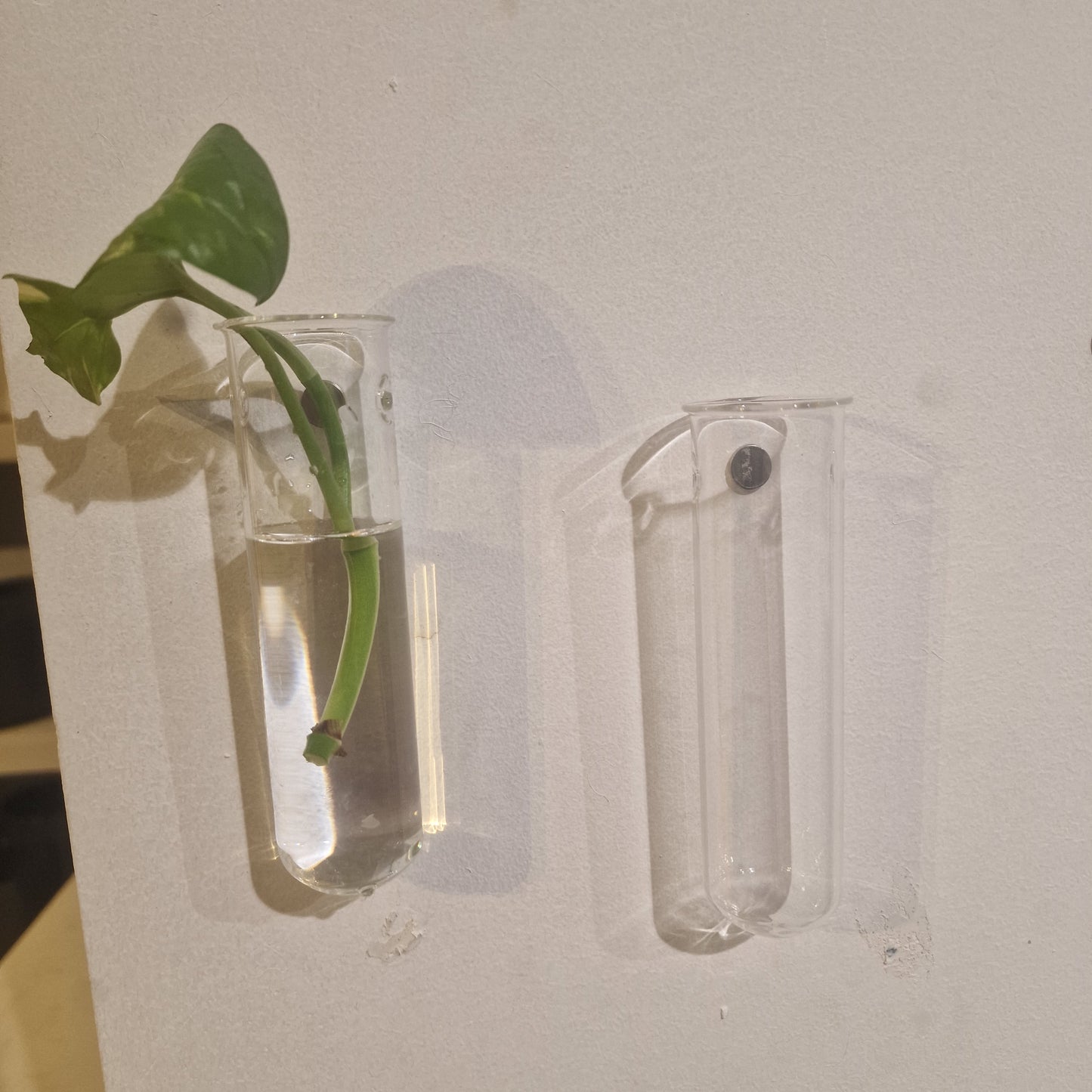 Wand Stekjes