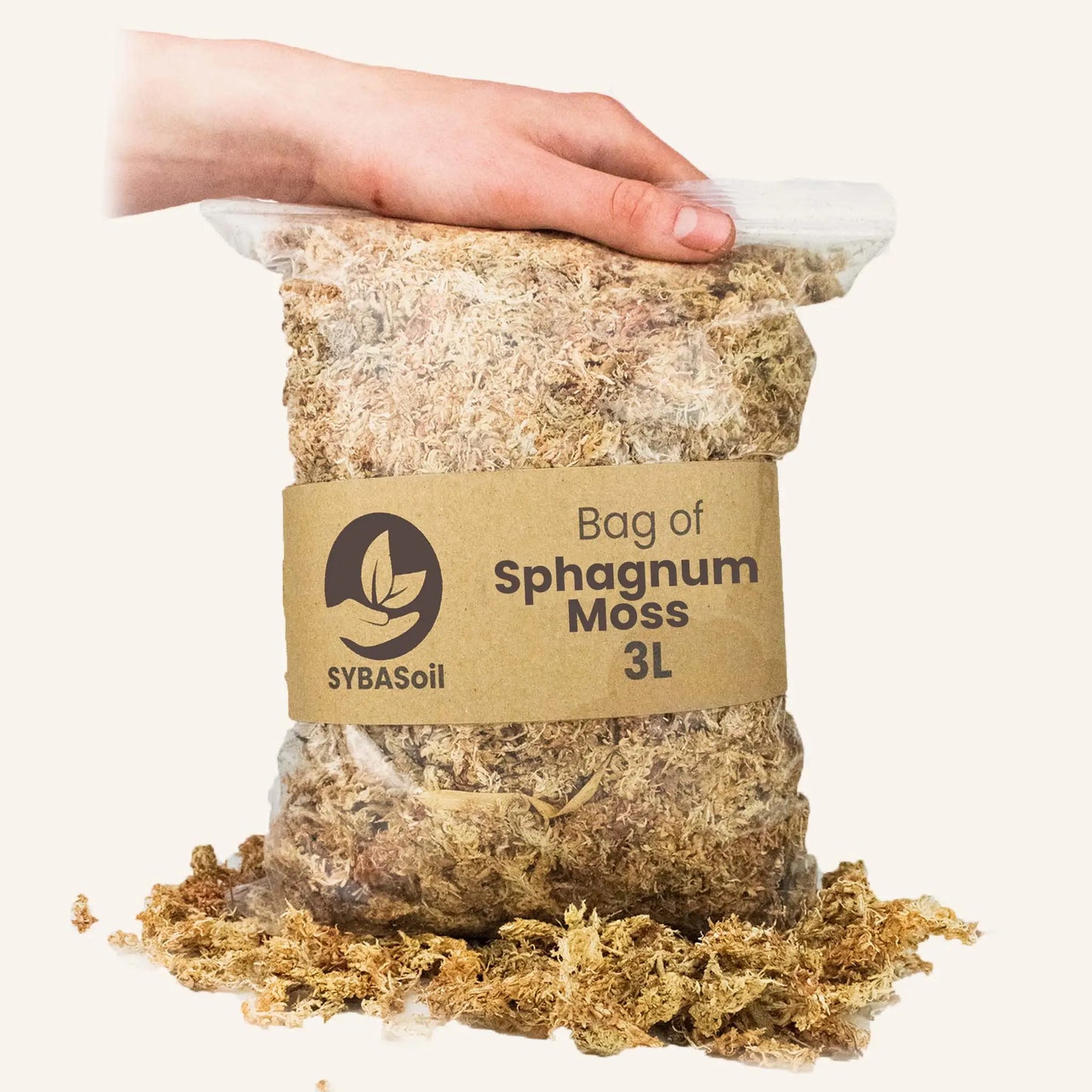Sphagnum moss (veenmos) - De Plantrekkers - De Plantrekkers