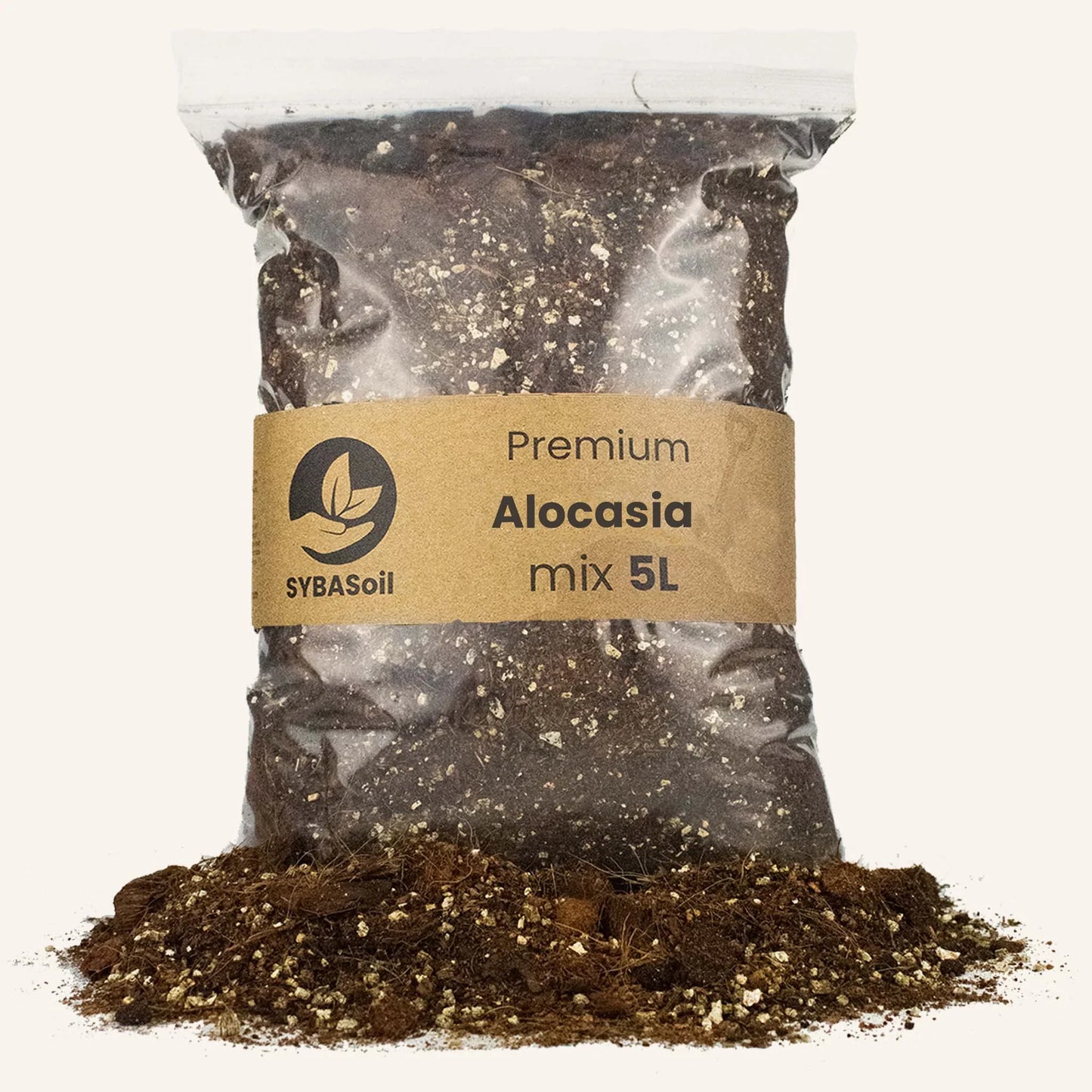 Alocasia mix 5L - De Plantrekkers - De Plantrekkers