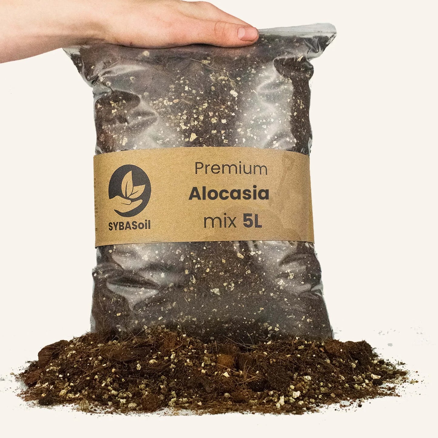 Alocasia mix 5L - De Plantrekkers - De Plantrekkers