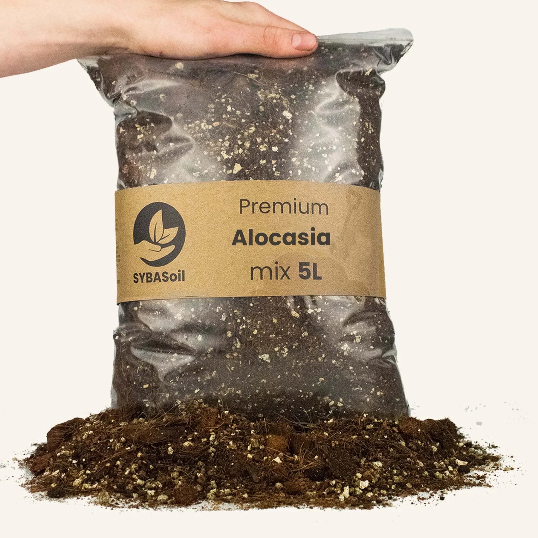 Alocasia mix 5L - De Plantrekkers  - De Plantrekkers