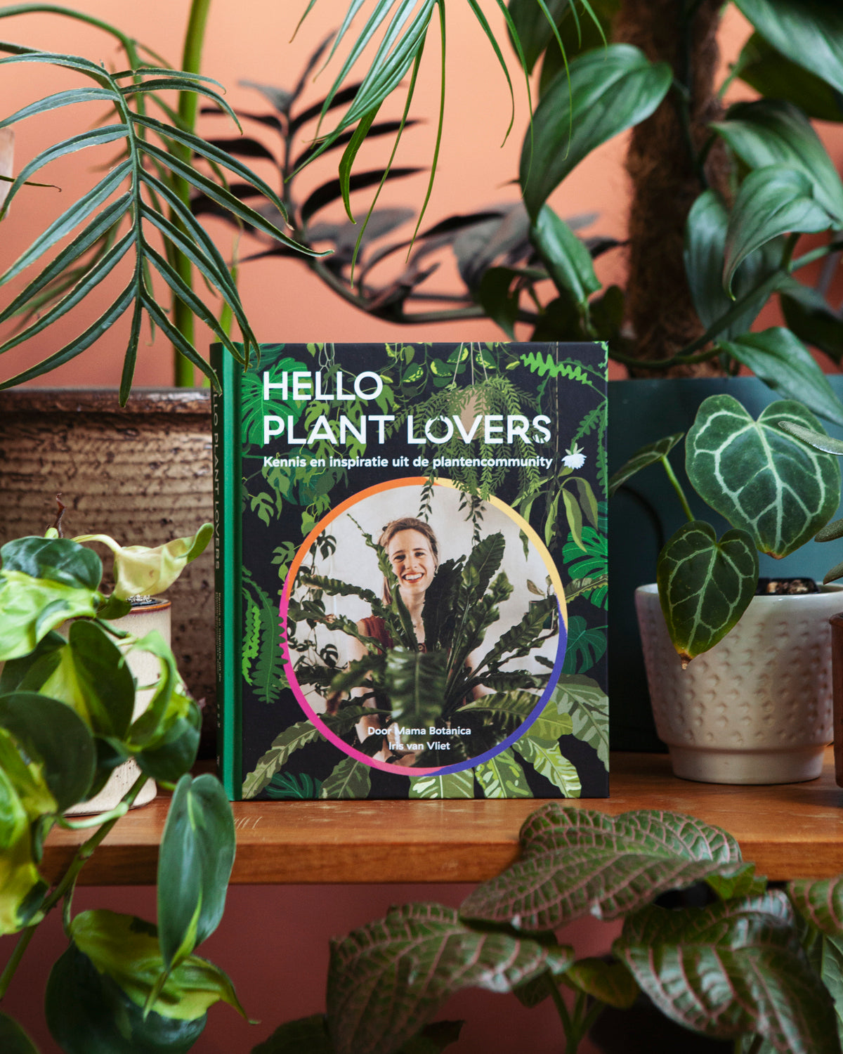 Hello Plant Lovers - De Plantrekkers - De Plantrekkers