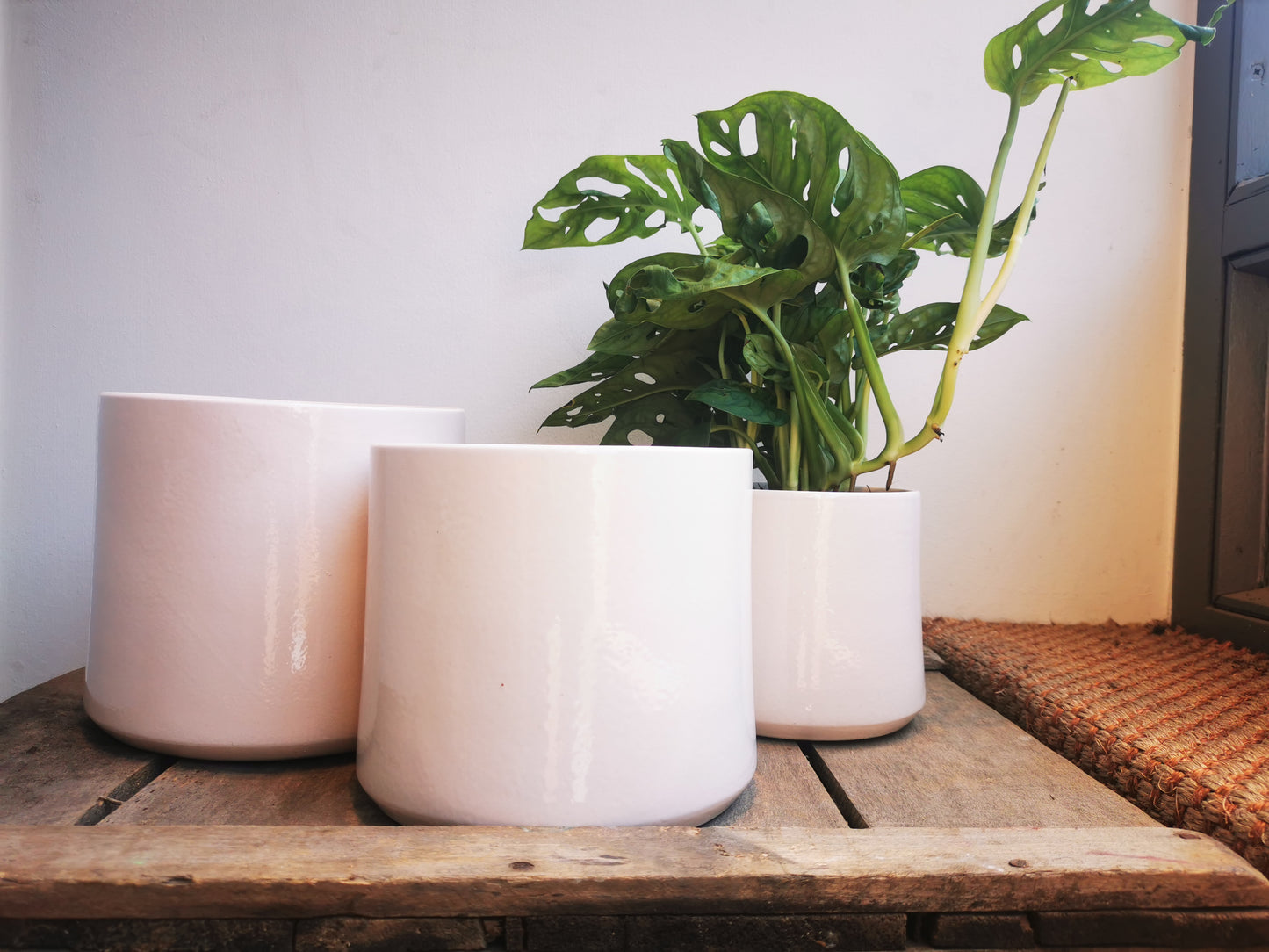 Glanzende pot in gebroken wit - De Plantrekkers  - De Plantrekkers