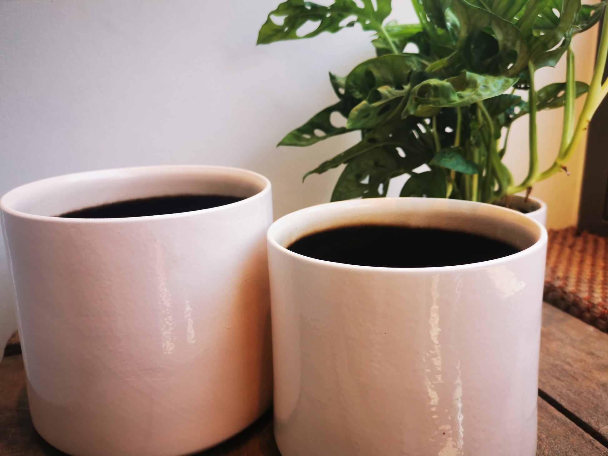 Glanzende pot in gebroken wit - De Plantrekkers  - De Plantrekkers