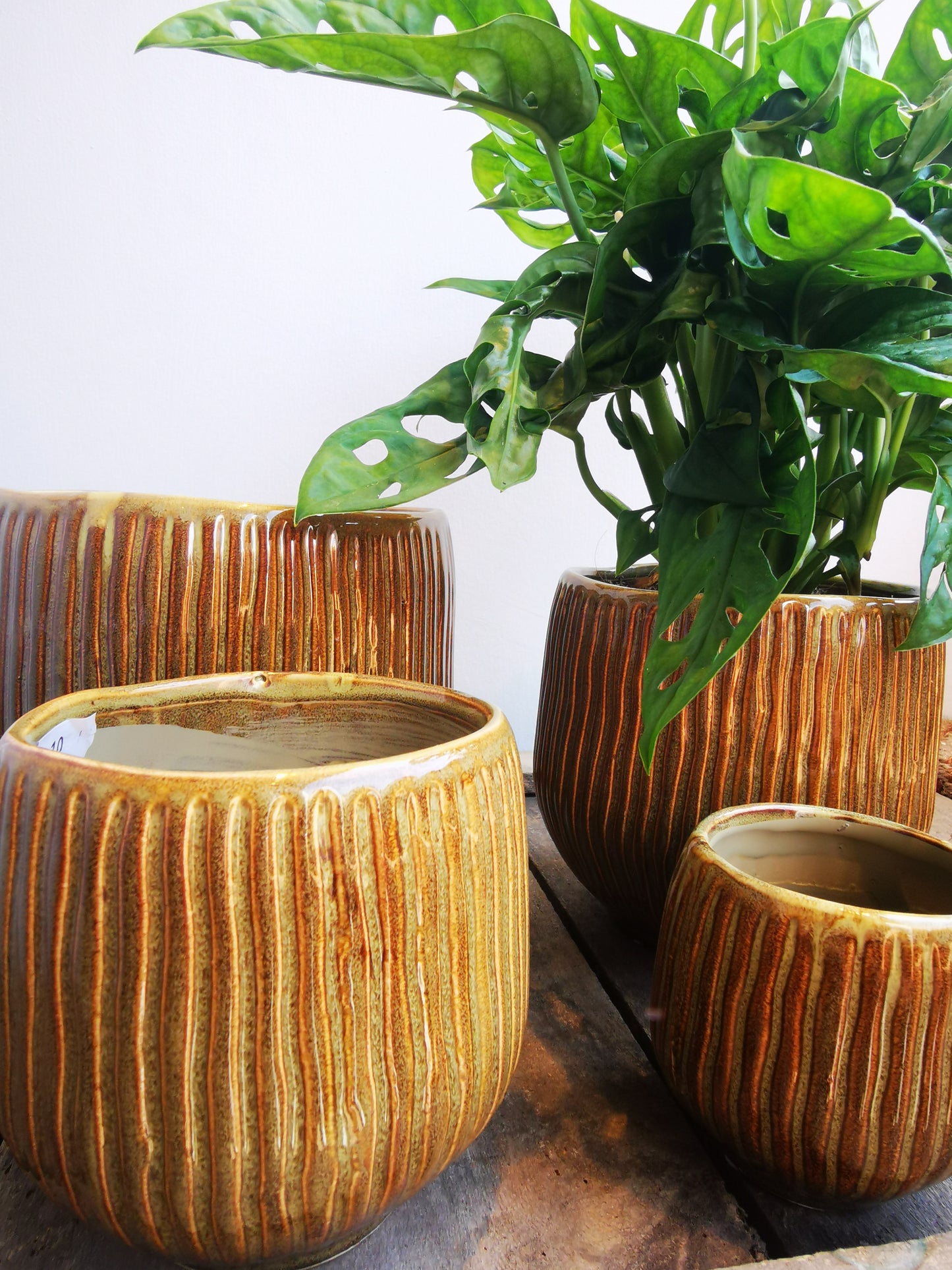 Bruine pot met strepen - De Plantrekkers  - De Plantrekkers