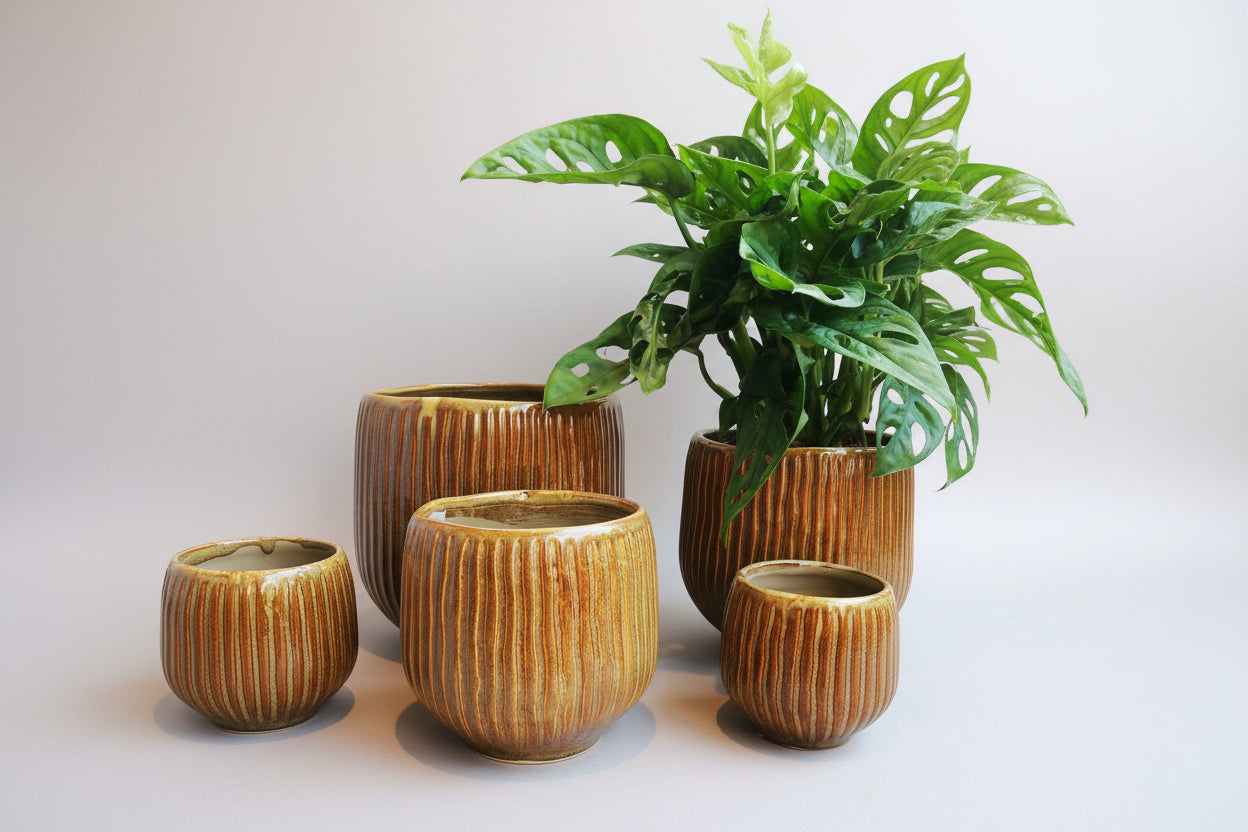 Bruine pot met strepen De Plantrekkers