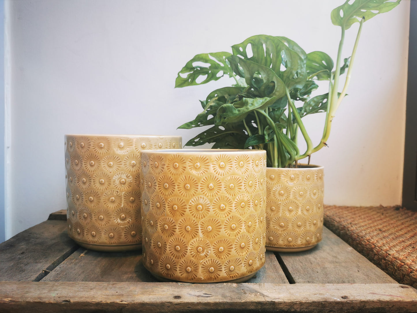 Beige pot met ster- of bloempatroon - De Plantrekkers  - De Plantrekkers