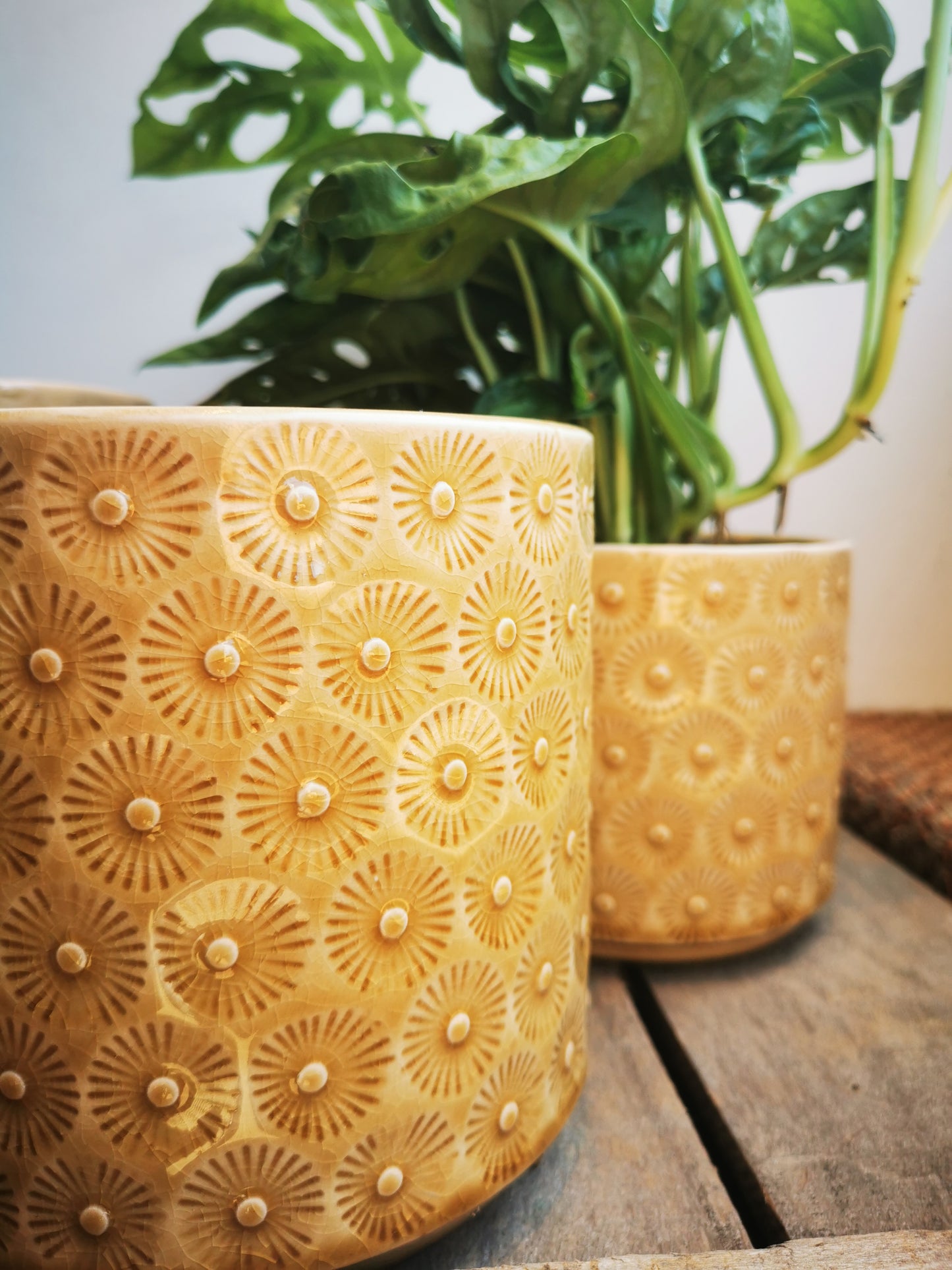 Beige pot met ster- of bloempatroon - De Plantrekkers  - De Plantrekkers