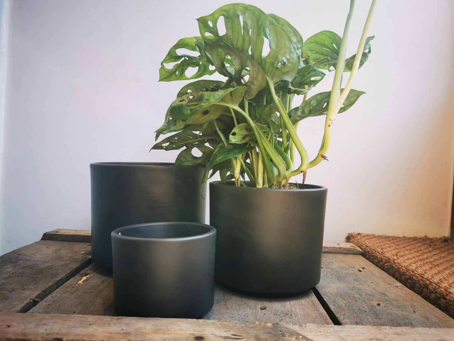 Mat zwarte pot met rechte rand - De Plantrekkers  - De Plantrekkers