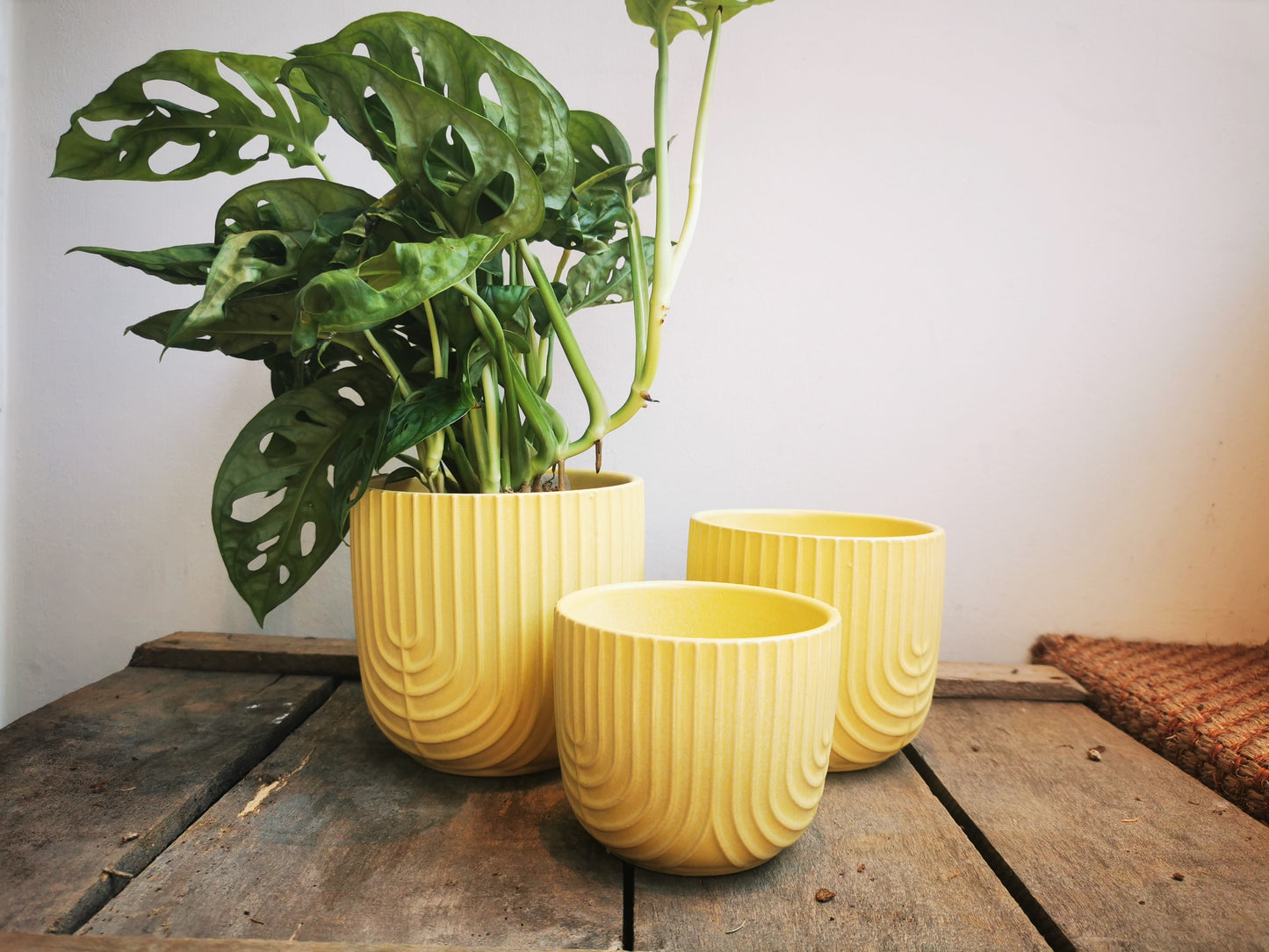 Gele pot met strepen - De Plantrekkers  - De Plantrekkers