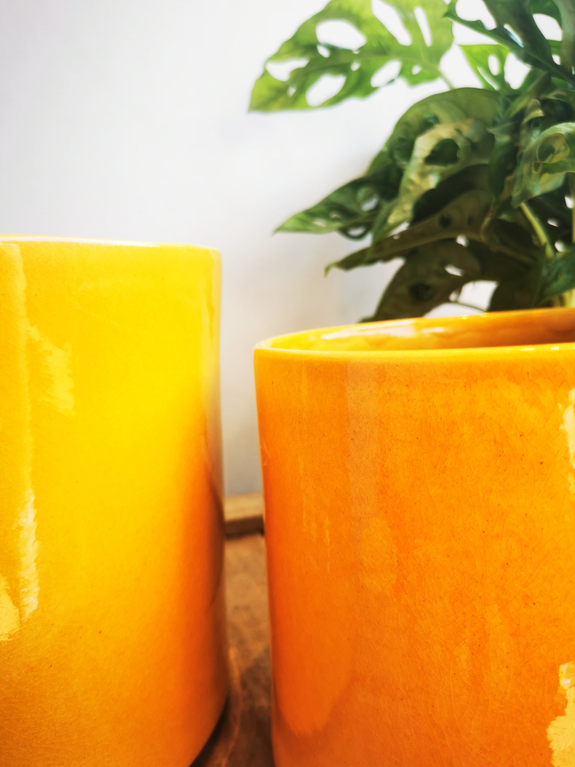 Glanzende gele pot - De Plantrekkers  - De Plantrekkers