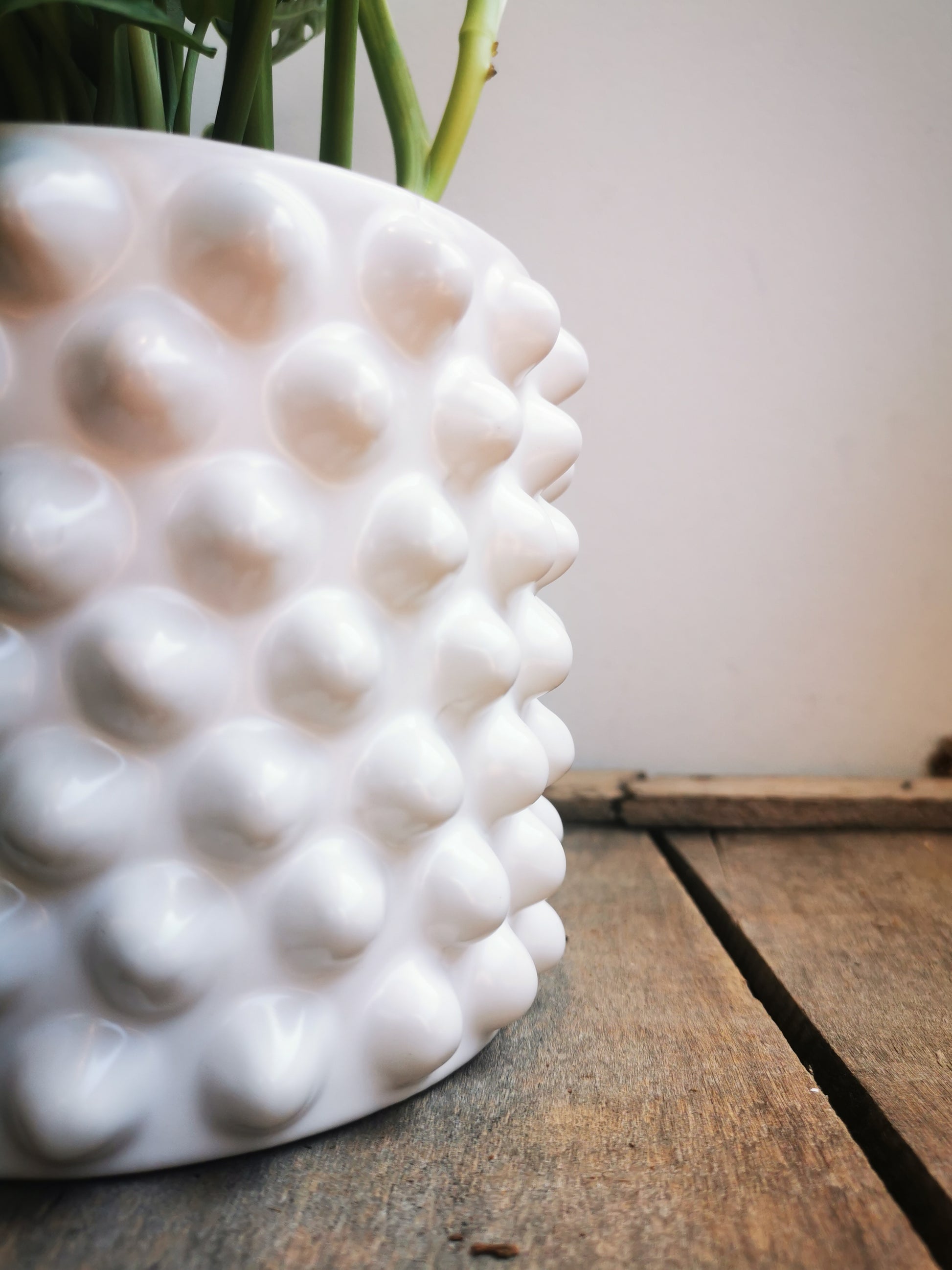 Glanzed witte pot met bolletjes - De Plantrekkers  - De Plantrekkers