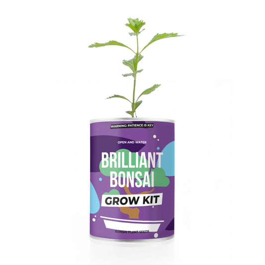 Brilliant Bonsai groei set