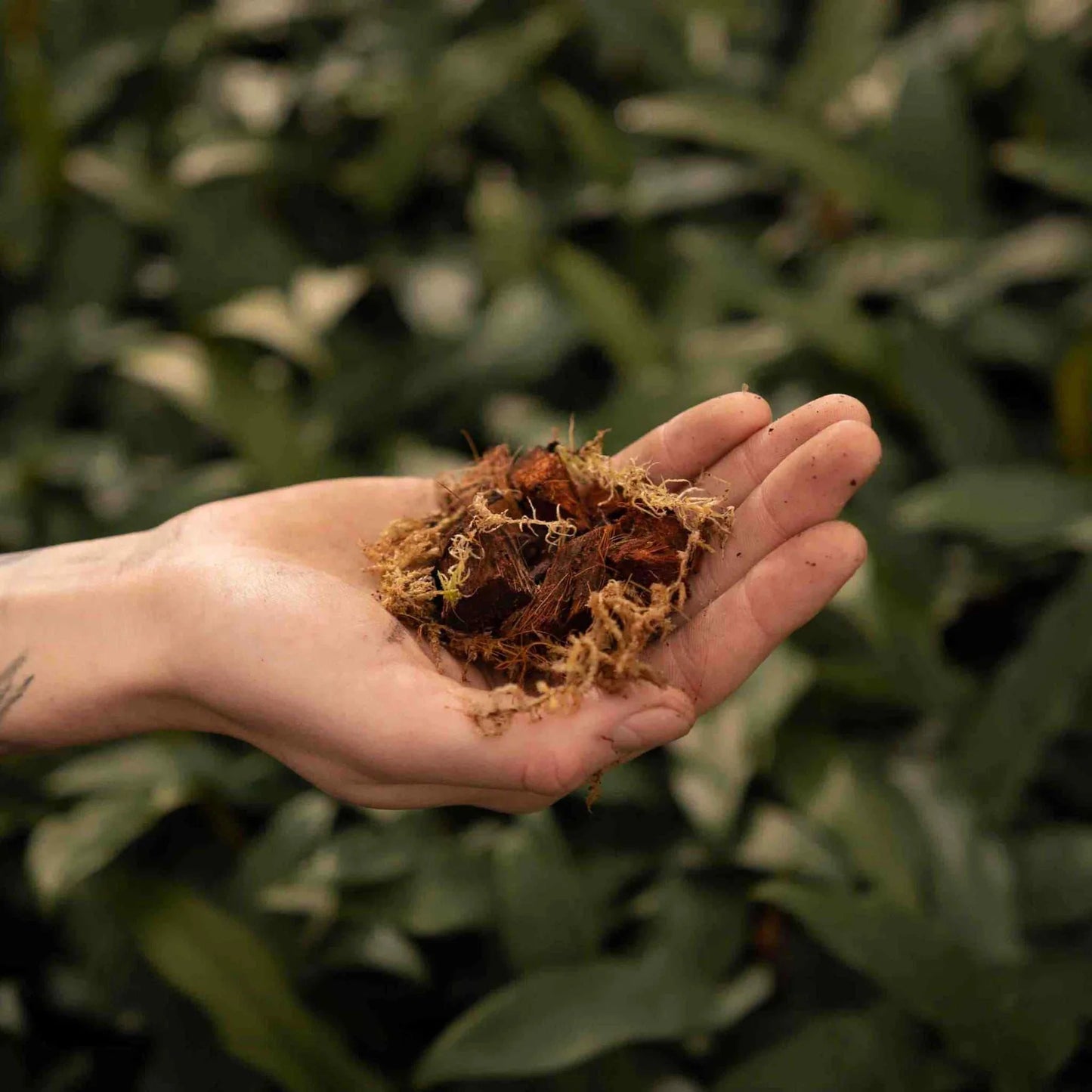 Potgrond voor orchideeën 5L