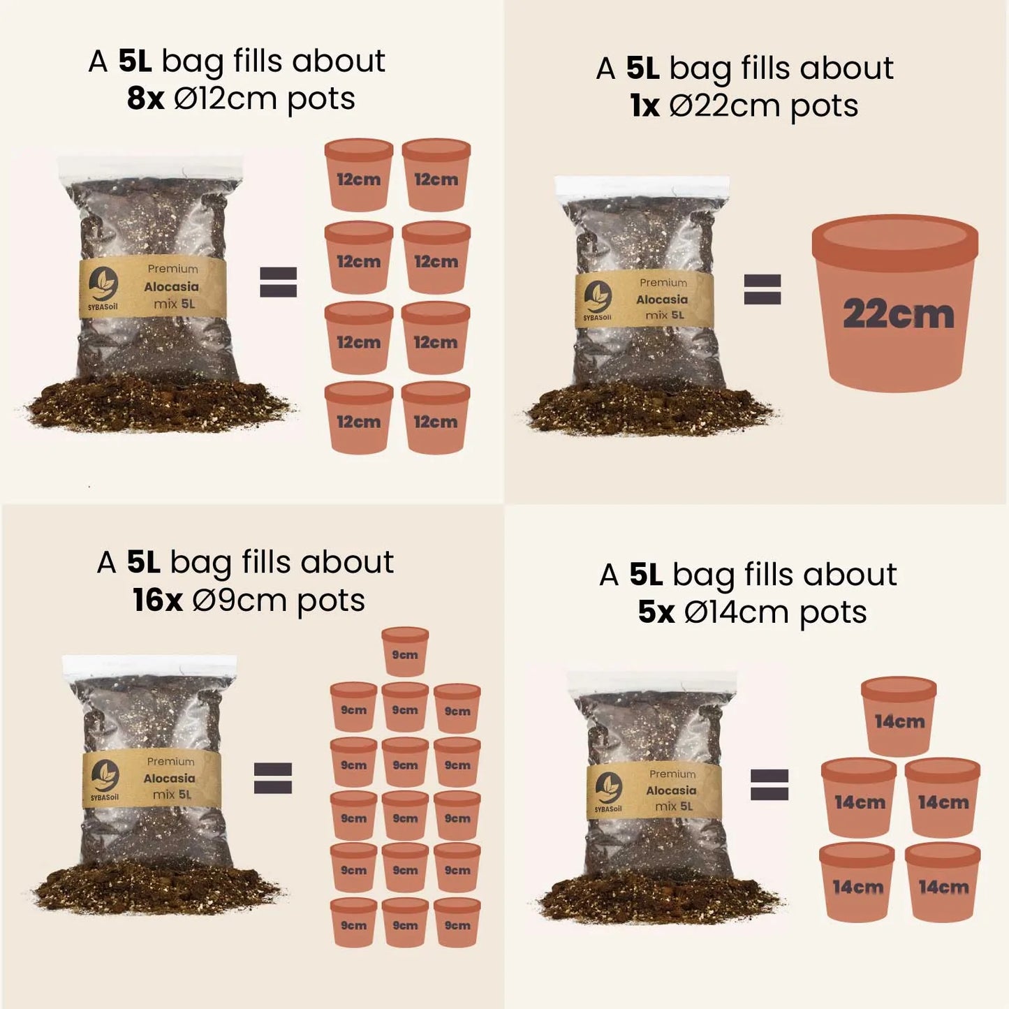 Cactussen & Vetplanten mix 5L - De Plantrekkers - De Plantrekkers