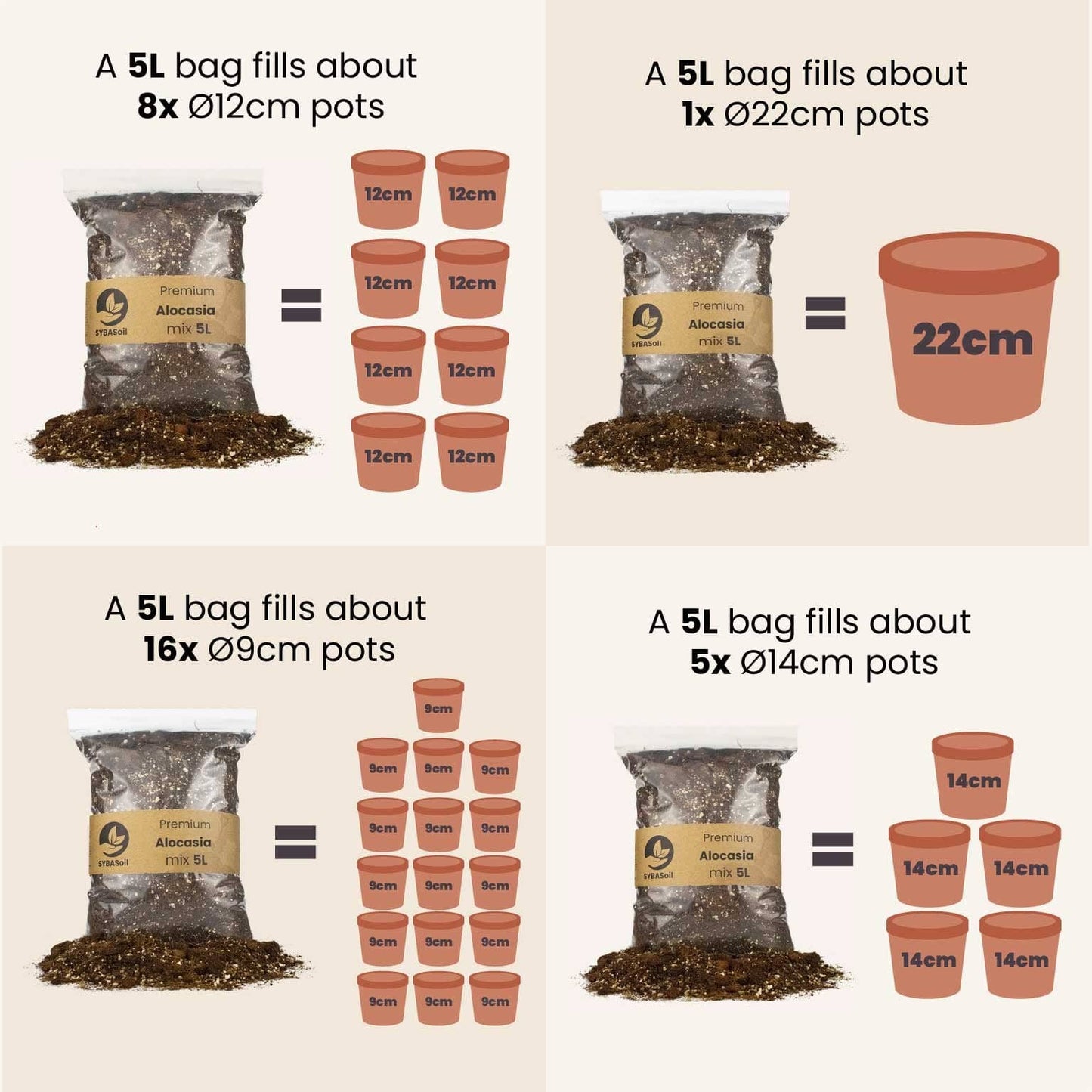 Alocasia mix 5L - De Plantrekkers - De Plantrekkers