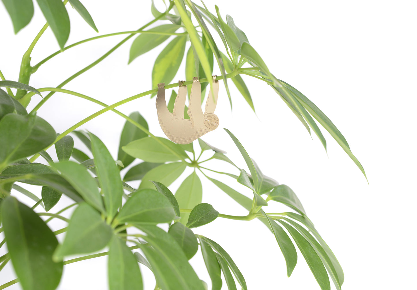 Plantenhanger Luiaard