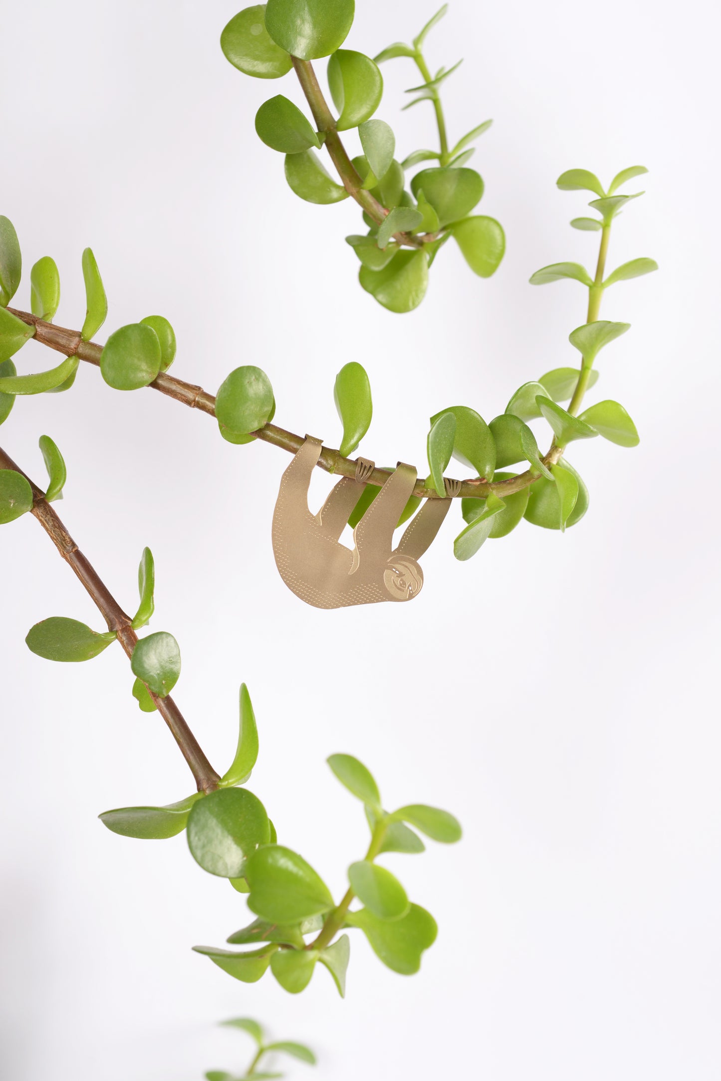 Plantenhanger Luiaard