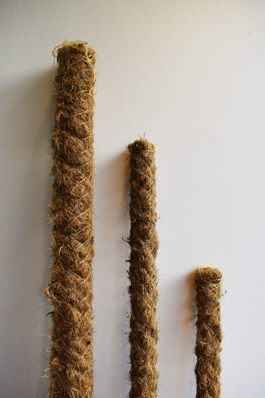 Mosstok of klimpaal - De Plantrekkers  - De Plantrekkers