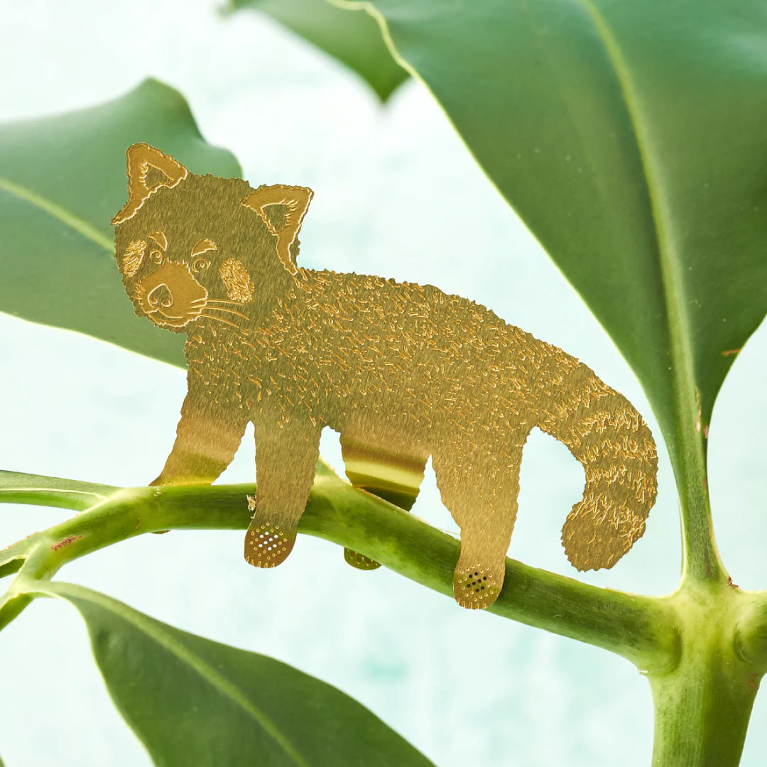 Plant hanger Panda