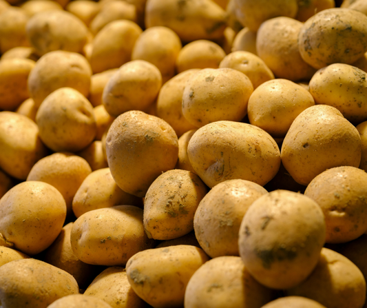 Wanneer Aardappelen Planten?