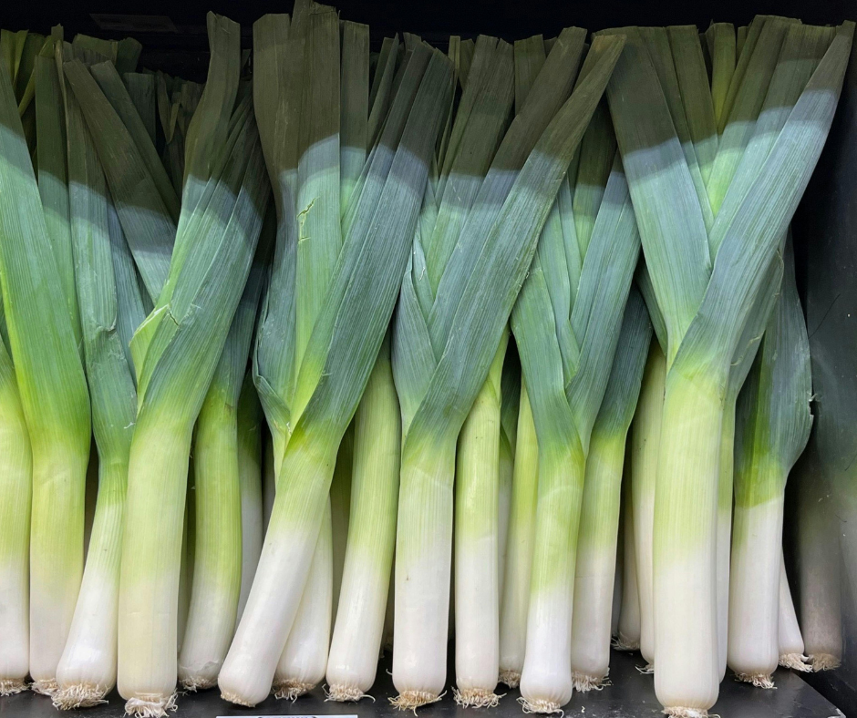 Wanneer Prei Planten?