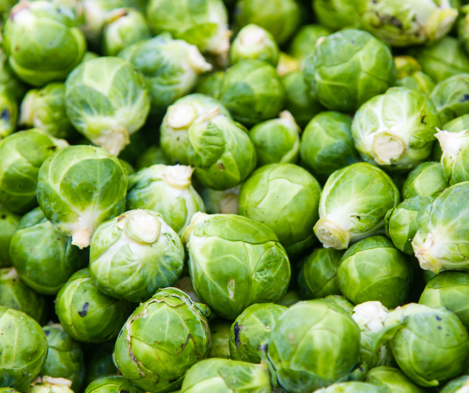 Wanneer Spruiten Planten?