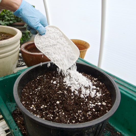 Perliet voor planten: wat is het & hoe gebruik je het in de tuin?