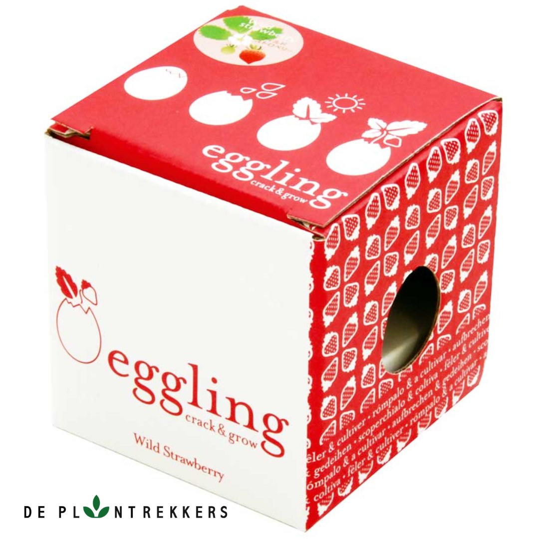 Eggling Wilde Aardbei - groei je eigen aardbeien