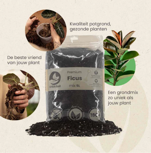 Ficus Potgrondmix | De Plantrekkers