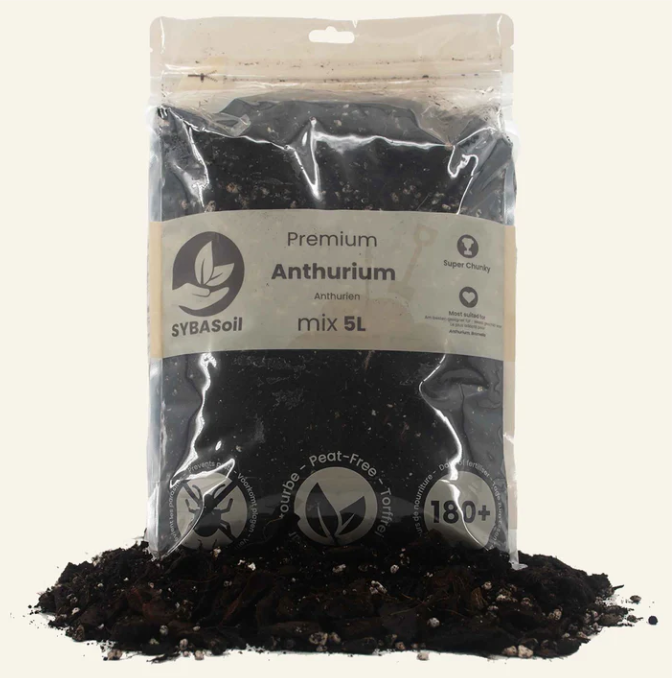 anthurium potting soil Buy potting soil for Anthuriums 5L