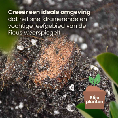 Ficus Potgrondmix | De Plantrekkers