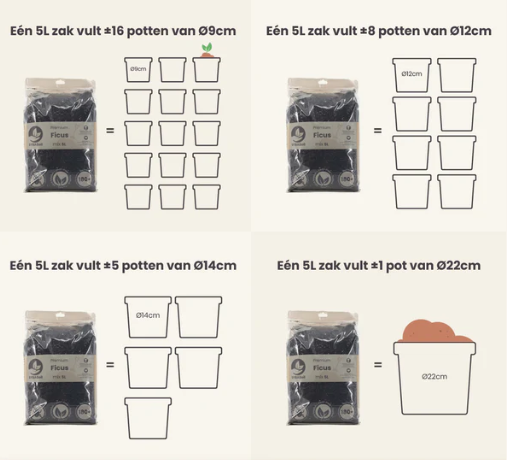 Ficus Potgrondmix | De Plantrekkers