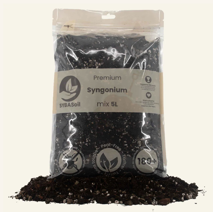 syngonium potting mix Syngonium Potting Soil 5L | Buy Plant Mix