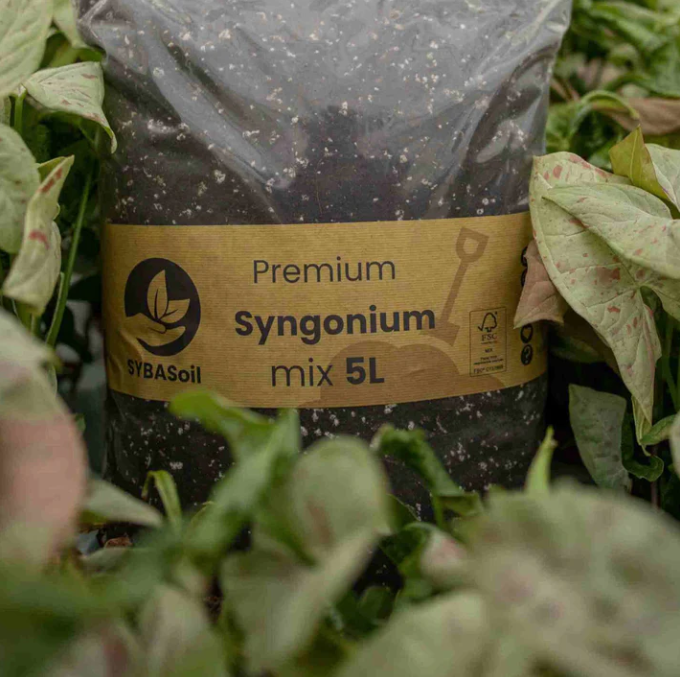 Potgrondmix voor Syngoniums 5L