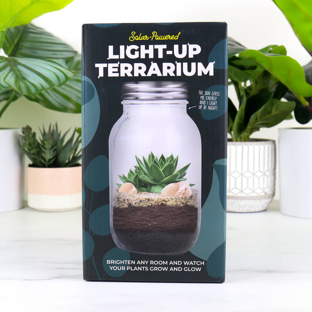 Light Up Terrarium