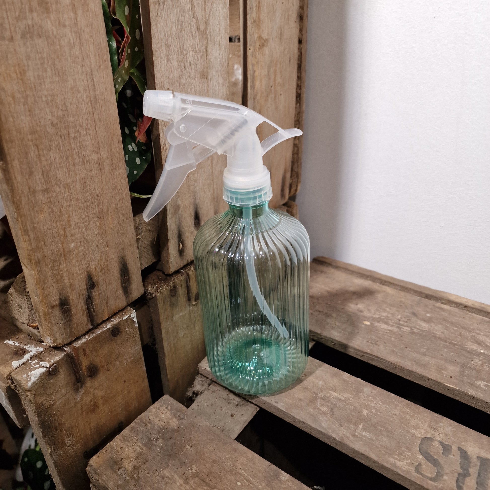 Plantensproeier 500ml Munt Groen De Plantrekkers