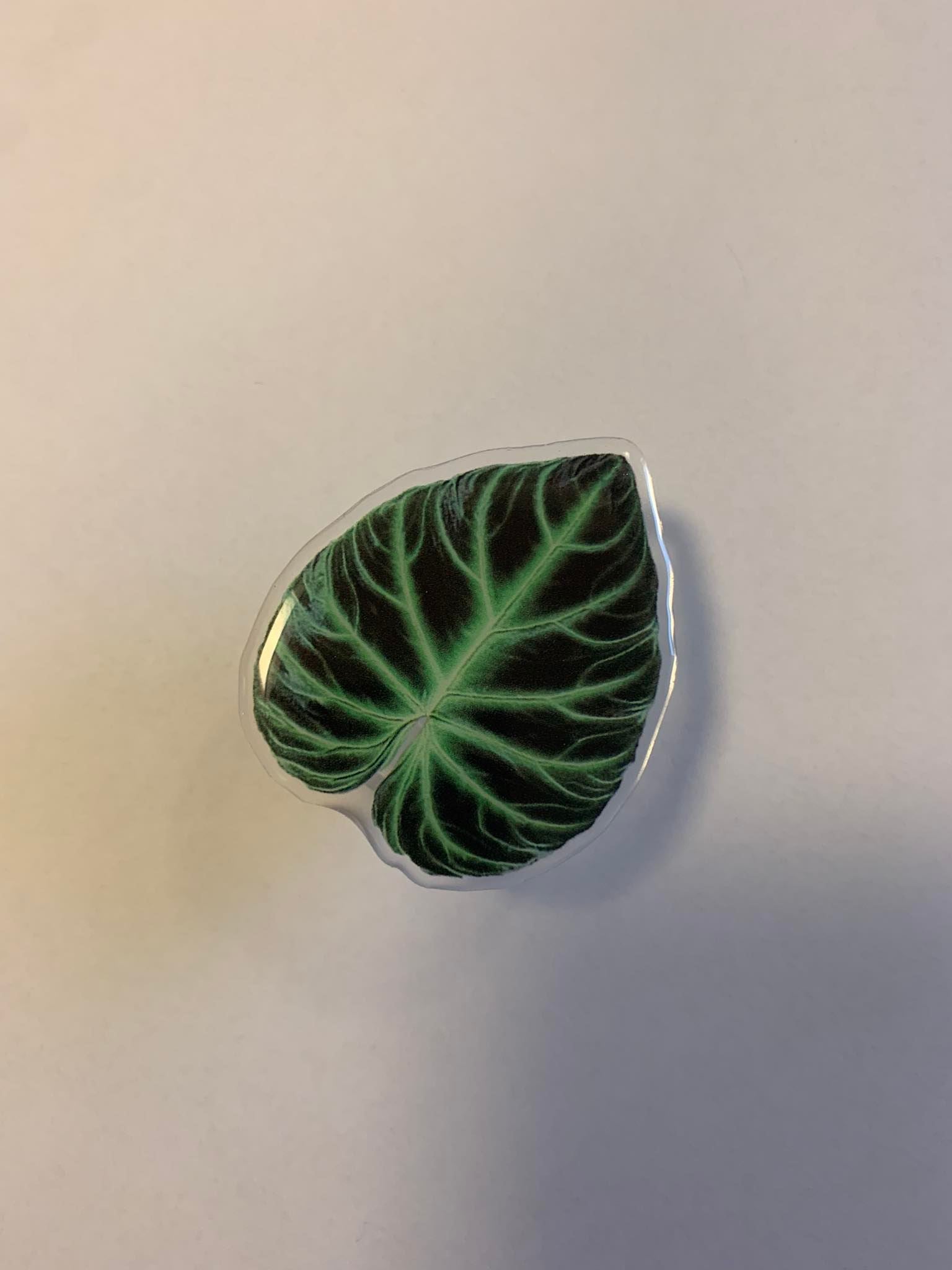 Popsocket groen De Plantrekkers
