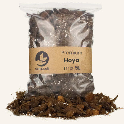 Hoya Mix 5L - De Plantrekkers  - De Plantrekkers 