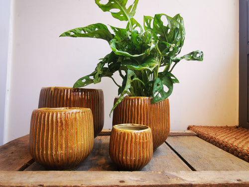 Bruine pot met strepen - De Plantrekkers  - De Plantrekkers 