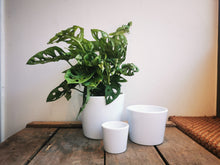 Afbeelding in Gallery-weergave laden, Glanzend witte pot met schuine kant - De Plantrekkers  - De Plantrekkers 
