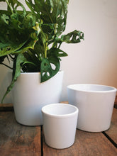 Afbeelding in Gallery-weergave laden, Glanzend witte pot met schuine kant - De Plantrekkers  - De Plantrekkers 
