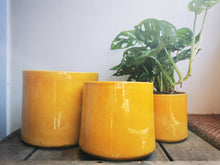 Afbeelding in Gallery-weergave laden, Glanzende gele pot - De Plantrekkers  - De Plantrekkers 
